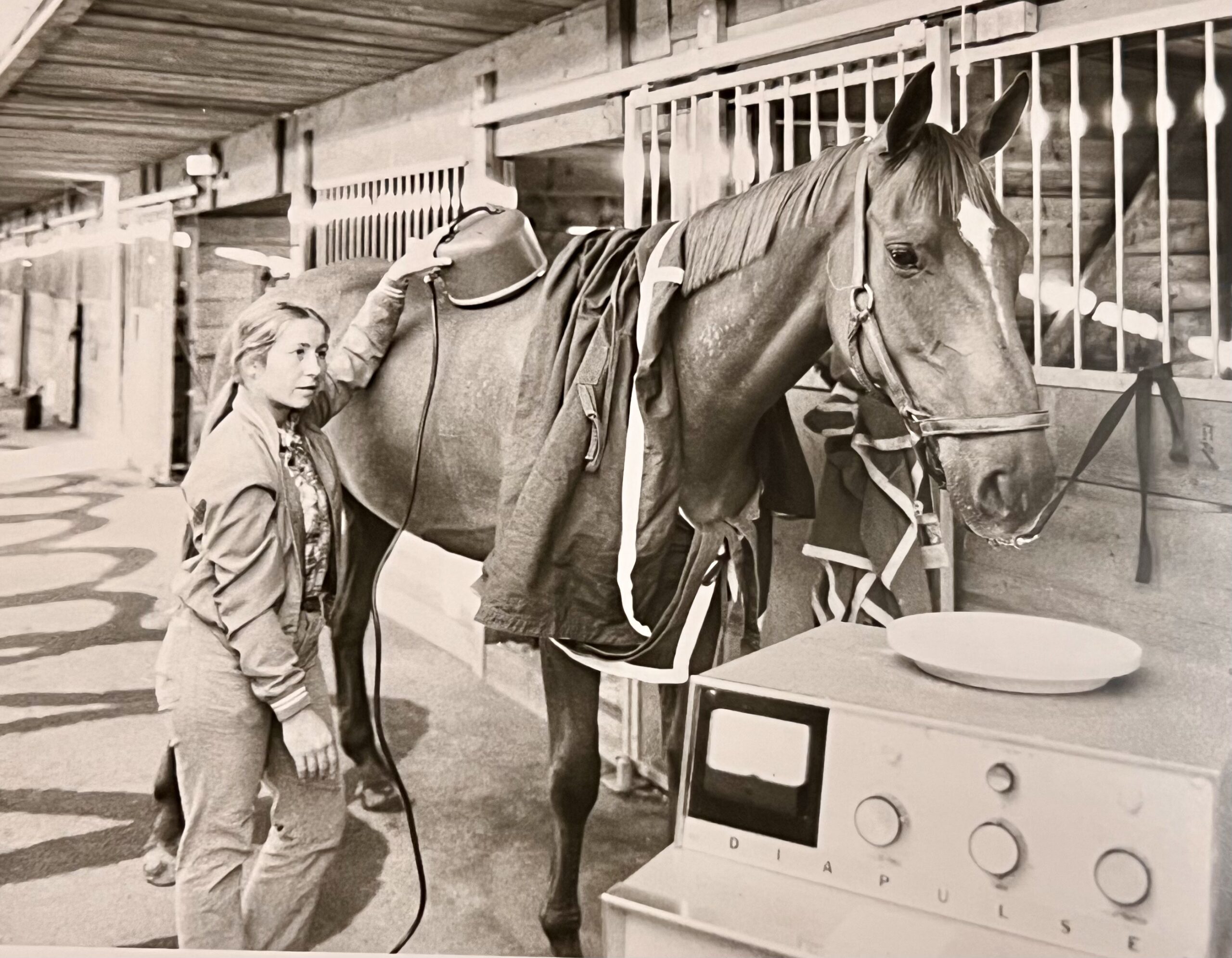 Historical Diapulse use with a racehorse
